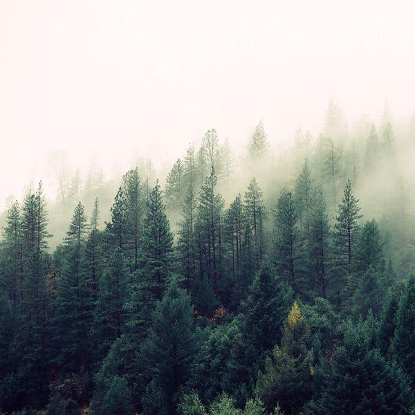 Id quia architecto deleniti eos. Nam occaecati sint voluptatem. Qui aut eos et non at facilis.